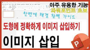 Read more about the article 파워포인트 이미지 삽입하는 가장 효율적인 방법 – 도형에 딱 맞게 넣는 법까지