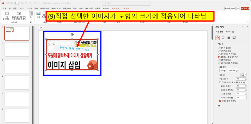 파워포인트에서 선택한 이미지가 도형 크기에 맞게 자동으로 적용되어 깔끔하게 삽입된 최종 결과 화면