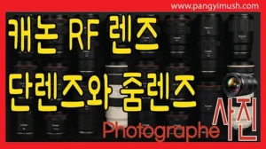 캐논 RF 마운트 렌즈들을 배경으로 단렌즈와 줌렌즈의 차이를 설명하는 사진 장비 비교 썸네일 이미지