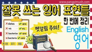 잘못 쓰는 영어 표현들 data vs bacteria를 한 번에 정리한 영어 학습 썸네일 이미지