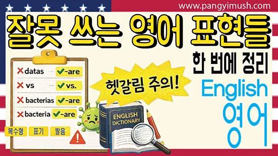 Read more about the article 우리가 잘못 쓰는 영어 표현들 – data, vs., bacteria까지 한 번에 정리