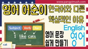 영어 어순이 한국어와 다른 이유를 주어-동사-목적어 구조로 설명한 학습 썸네일 이미지