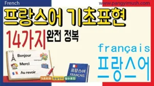 프랑스어 기초 표현 14가지를 인사, 감사, 작별 표현 예시와 함께 정리한 학습용 썸네일 이미지