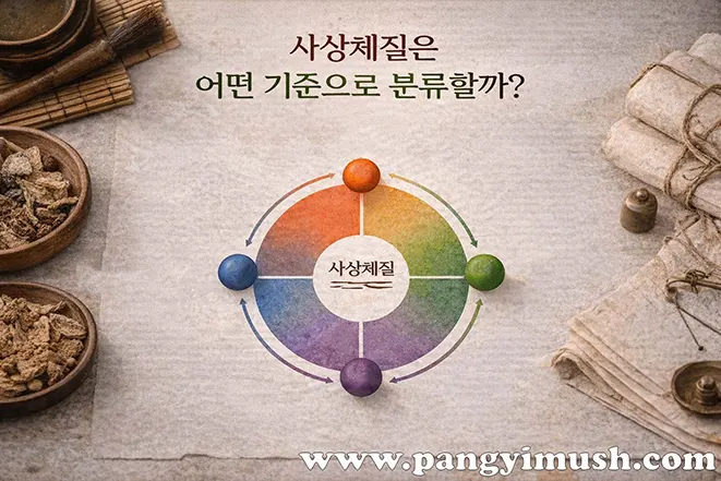 사상의학 사상체질 분류 기준 이미지 – 태양인 태음인 소양인 소음인 구조 설명
