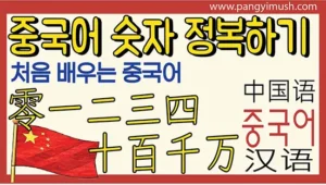 Read more about the article 중국어 숫자 완전 정복 – 0부터 억 단위까지 한 번에 끝내기