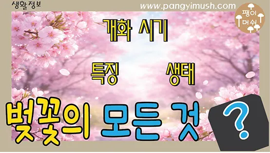 Read more about the article 벚꽃의 모든 것 – 기원부터 개화 시기, 특징, 생태계 영향까지 완벽 정리