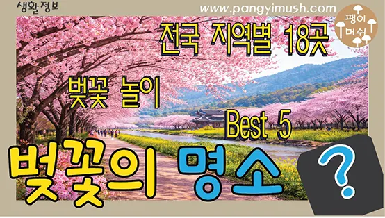 Read more about the article 한국 벚꽃 명소 총정리 🌸 BEST 5 + 전국 지역별 숨은 명소 18곳