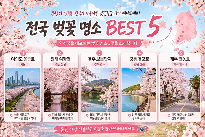 한국 대표 벚꽃 명소 BEST 5 여의도 진해 경주 강릉 제주를 소개하는 이미지
