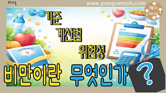 Read more about the article 비만 기준 완벽 정리 – BMI 계산법부터 건강 위험까지 한 번에 이해하기