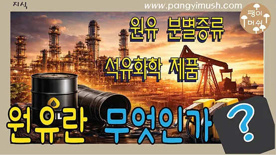 Read more about the article 원유 완전 정리 – 분별 증류부터 석유화학 제품, 일상 활용까지 한눈에 이해하기