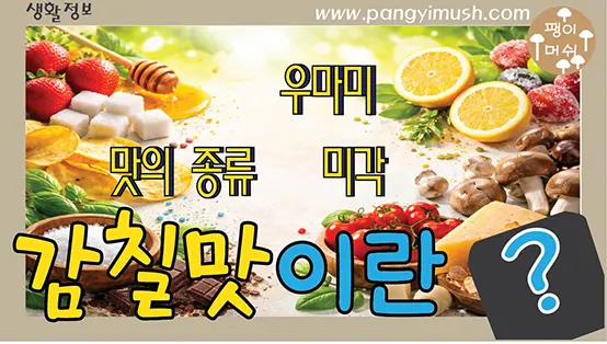 Read more about the article 맛의 종류 완전 정리 – 단맛, 짠맛, 신맛, 쓴맛 그리고 감칠맛(우마미)의 모든 것