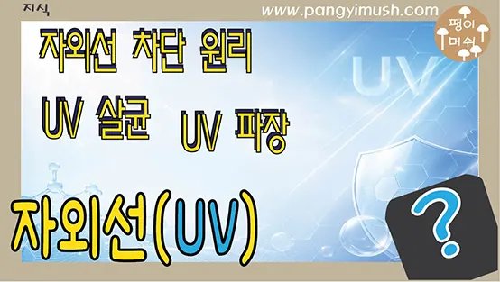 Read more about the article 자외선(UV) 완전 정리 – 차단 원리부터 생활 속 활용까지 한 번에 이해하기