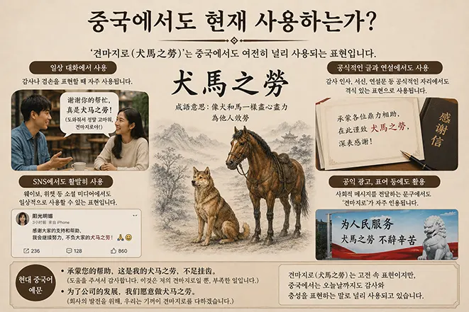 현대 중국 사회에서 견마지로 표현이 다양한 상황에서 사용되는 모습을 설명하는 인포그래픽 이미지
