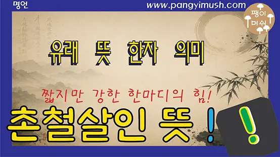 Read more about the article 촌철살인(寸鐵殺人) 의미 완전 정리 – 짧지만 강한 한마디의 힘