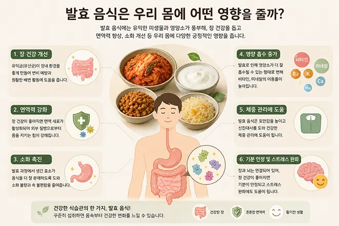 발효 음식이 장 건강과 면역력, 소화 및 영양 흡수에 미치는 영향을 설명하는 이미지
