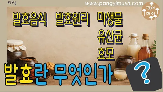 You are currently viewing 발효란 무엇인가? 원리부터 발효 음식·술·장단점까지 쉽게 이해하기
