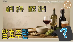 Read more about the article 발효주란 무엇인가? 발효 술의 원리와 종류, 특징까지 한 번에 이해하기