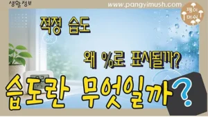 Read more about the article 습도란 무엇일까? 상대습도 100%의 의미와 적정 습도 완전 정리
