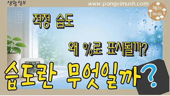 Read more about the article 습도란 무엇일까? 상대습도 100%의 의미와 적정 습도 완전 정리