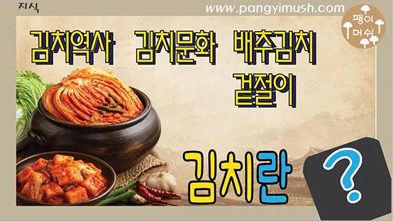 You are currently viewing 김치의 발효 원리와 역사 – 왜 한국인은 김치를 익혀 먹게 되었을까?