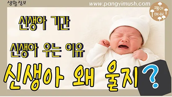 Read more about the article 신생아 우는 이유는? 배고픔과 울음의 관계부터 신생아 기간까지 완벽 정리