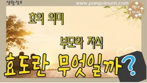 Read more about the article 효도란 무엇인가? 부모가 진정으로 바라는 것과 실천 방법 총정리