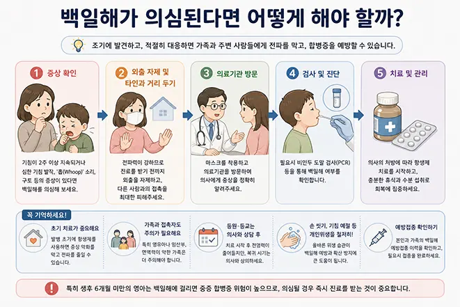 백일해가 의심될 때 증상 확인부터 진단과 치료까지의 대처 방법을 설명하는 인포그래픽