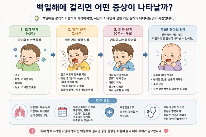 백일해의 초기 증상부터 회복 단계까지의 진행 과정과 영아 위험 증상을 설명하는 인포그래픽