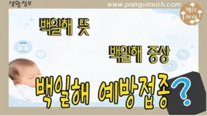 Read more about the article 백일해란 무엇일까 신생아 부모가 꼭 알아야 할 백일해의 진실과 예방 방법