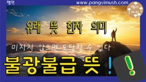 Read more about the article 불광불급(不狂不及) 뜻과 유래 – 미치지 않으면 도달할 수 없다