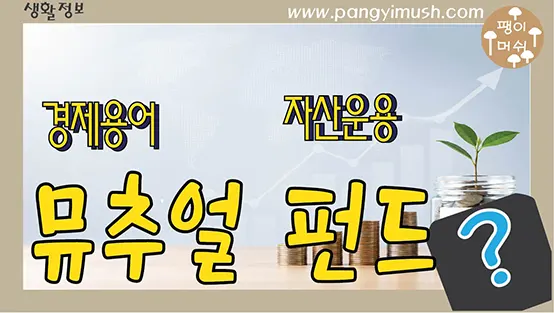 Read more about the article 뮤추얼 펀드(Mutual Fund)란 무엇일까? 펀드와의 차이, 이름의 의미까지 쉽게 이해하기