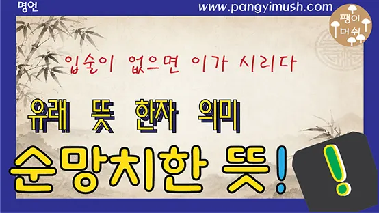 Read more about the article 순망치한(脣亡齒寒) 뜻과 유래 – 입술이 없으면 이가 시리다는 말의 진짜 의미