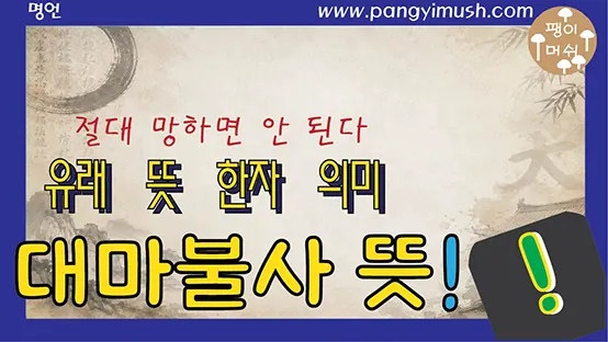 Read more about the article 대마불사 뜻과 유래 – 절대 망하지 않는다는 의미일까? 한자 풀이부터 역사까지
