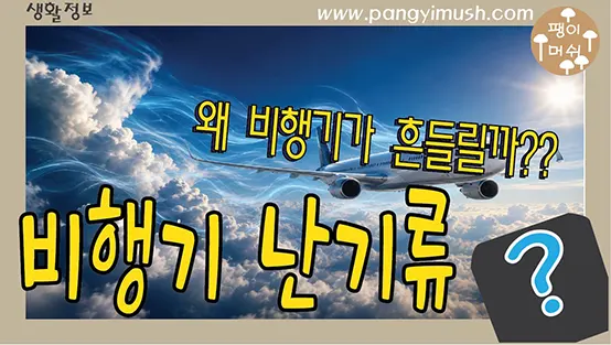 Read more about the article 비행기는 왜 흔들릴까? 비행기 난기류가 발생하는 이유와 비행기 안전의 원리
