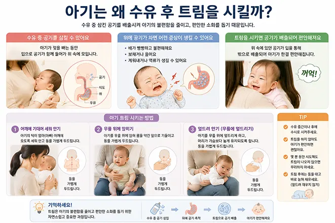 수유 중 아기가 삼킨 공기를 배출하기 위해 수유 후 아기를 세워 안고 트림을 시키는 방법을 설명하는 이미지