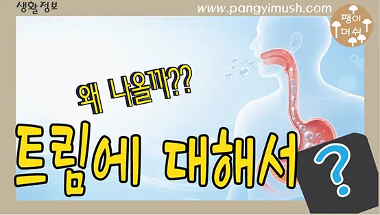 Read more about the article 트림은 왜 나올까? 원인부터 아기 트림, 참으면 생기는 변화와 예절까지 알아보기