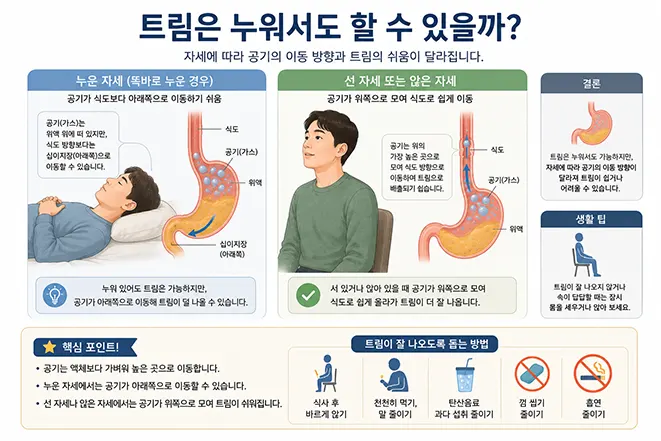 누운 자세와 앉은 자세에서 위 속 공기의 이동 방향과 트림이 나오는 차이를 비교한 이미지