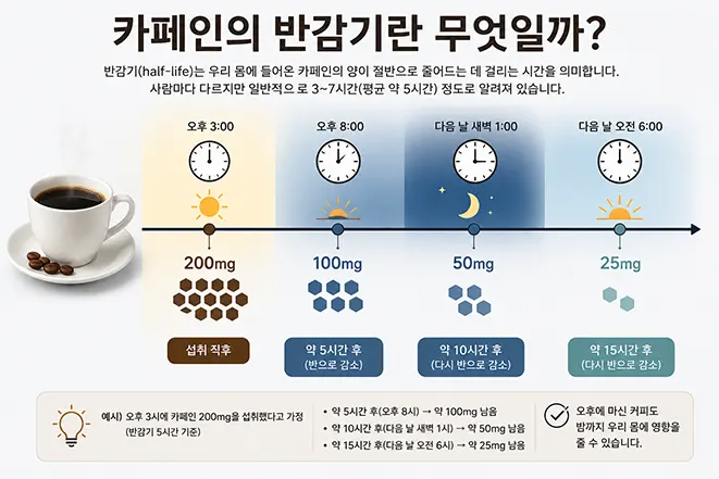 오후 3시에 섭취한 카페인 200mg이 약 5시간마다 100mg, 50mg, 25mg으로 감소하는 반감기를 설명한 이미지
