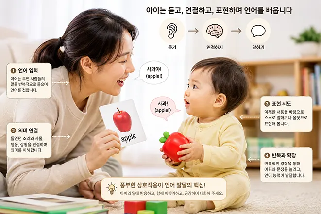 엄마와 어린아이가 사과를 보며 듣기, 의미 연결, 말하기와 반복을 통해 언어를 배우는 과정