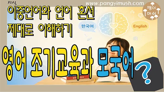 Read more about the article 영어 조기교육과 모국어는 발달을 방해할까? – 이중언어와 언어 혼선 제대로 이해하기