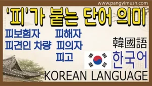 Read more about the article 피 뜻은 무엇일까? 피보험자·피견인 차량·피실험자로 쉽게 이해하기