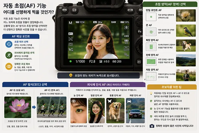 미러리스 카메라의 자동 초점 AF 기능과 AF-S, AF-C, 초점 영역, 눈·얼굴·동물·차량 인식 기능을 설명한 이미지