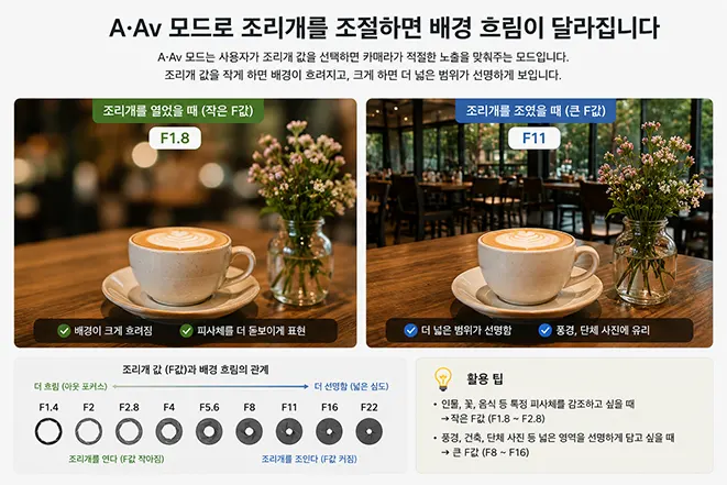미러리스 카메라 A·Av 모드에서 F1.8과 F11 조리개 값에 따른 배경 흐림과 피사계 심도 차이를 비교한 이미지
