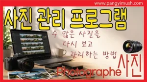 사진 관리 프로그램을 이용해 수많은 사진을 정리하고 보관하며 다시 보는 방법을 소개하는 이미지