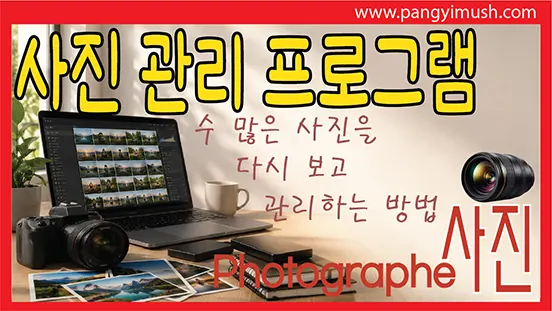 You are currently viewing 사진 관리 프로그램 완벽 가이드 – 수많은 사진을 정리하고 보관하고 다시 보는 방법