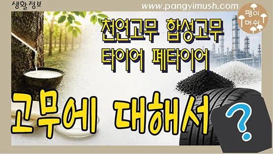Read more about the article 고무는 어디에서 만들어질까? 천연고무·합성고무부터 타이어와 폐타이어까지