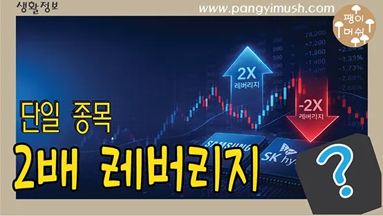 Read more about the article 단일 종목 2배 레버리지란? 수익은 왜 2배가 되고 주가 하락을 키울까?