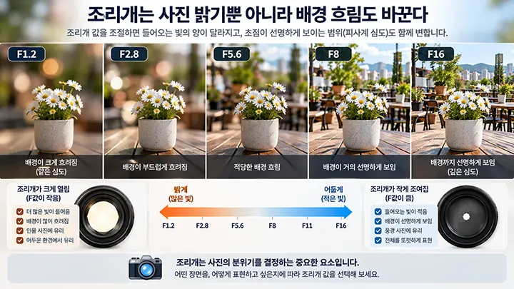 F1.2부터 F16까지 조리개 값에 따른 꽃 사진의 배경 흐림과 피사계 심도 변화를 비교한 이미지