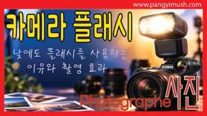 Read more about the article 카메라 플래시는 왜 필요할까 낮에도 플래시를 사용하는 이유와 촬영 효과 완벽 정리