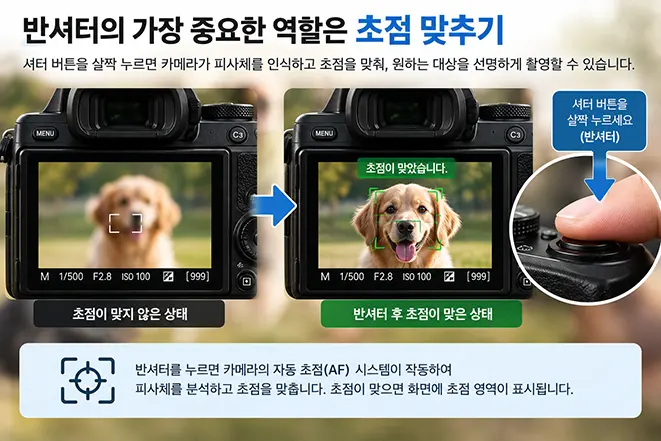 카메라 반셔터를 눌러 자동 초점을 작동시키고 피사체에 초점을 맞추는 과정을 비교한 이미지